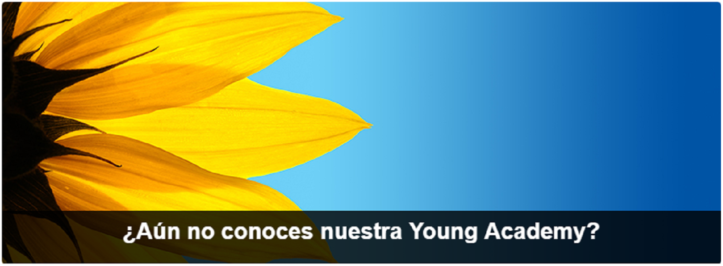 &iquest;Qu&eacute; es Young Academy?